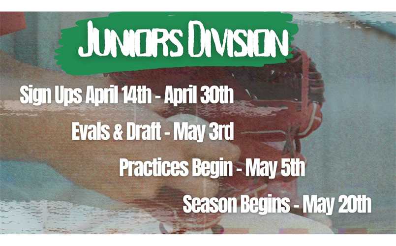 Juniors Division